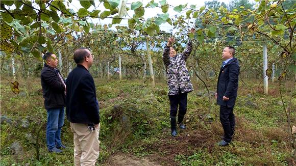 龚飞燕:扎根基层担重任 助力脱贫攻坚