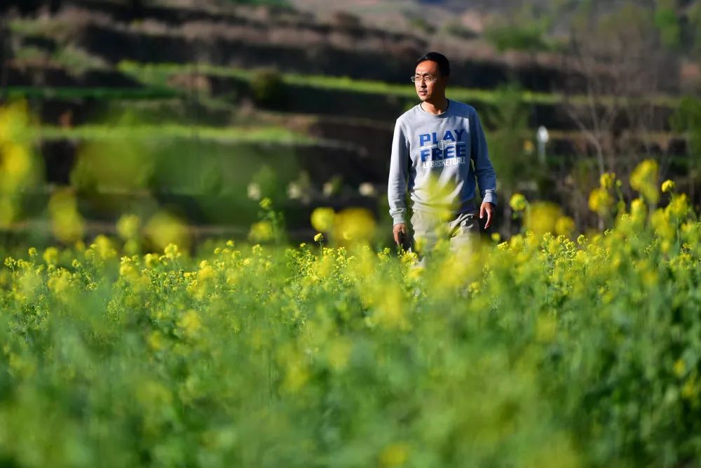 文艺青年走进乡村振兴的试验田
