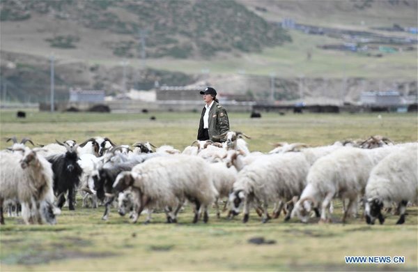 Female Pilot from Impoverished Family Flies Helicopter in China's Tibet